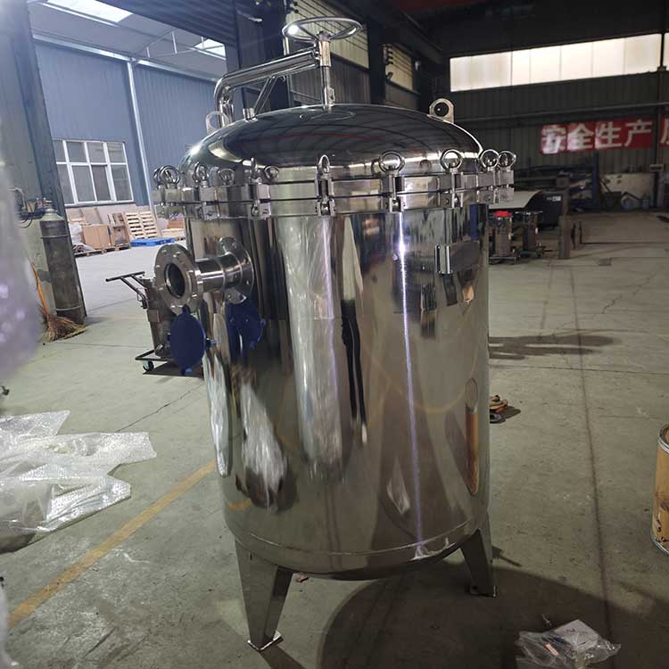 DN80袋式過(guò)濾器-(1)